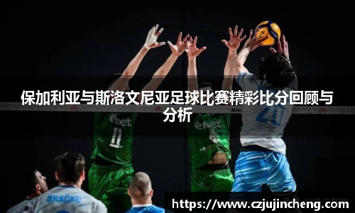 bsports登录入口